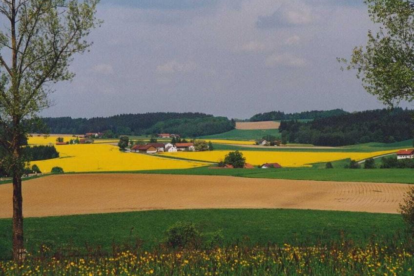 365 - foto 17