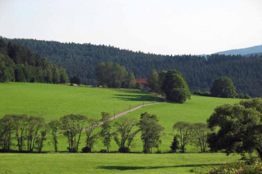 Waldferien - foto 32