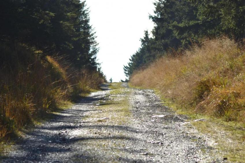 Spiegeltal - foto 39