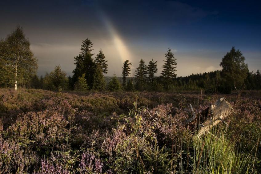 Landhaus Graf - foto 34