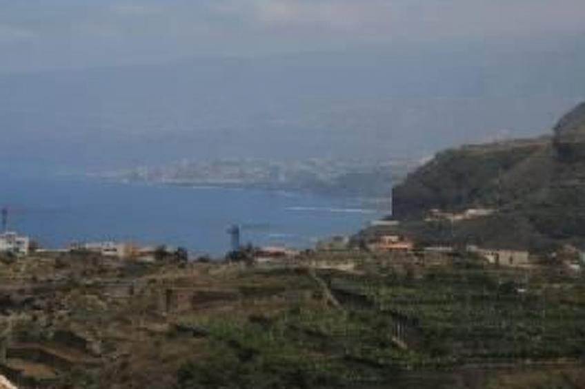 Studio mit Terrasse - foto 3