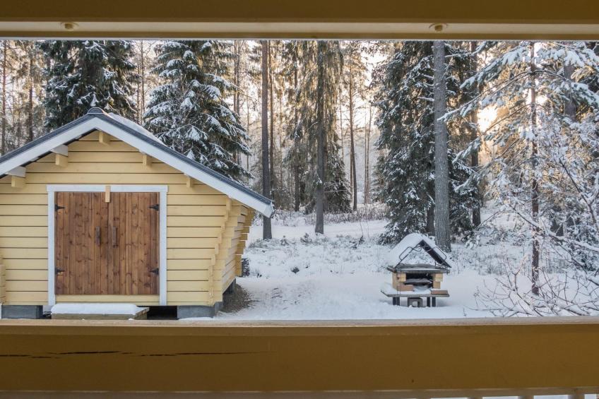 Vaarapirtti / tähti - foto 32