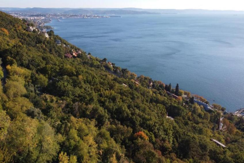 Les Balcons d'Auréa - foto 22