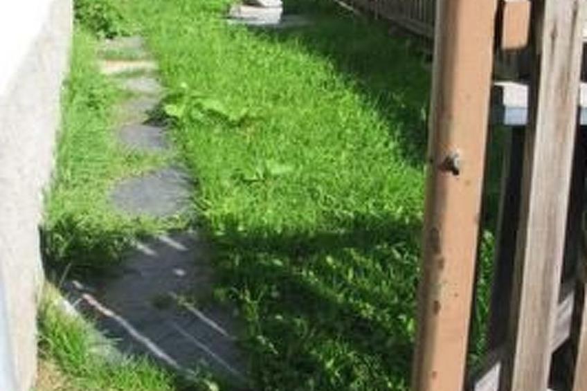 Casa Paola in Bosco Gurin - foto 10