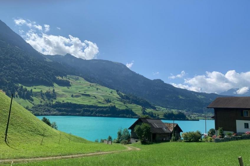 Bemer-Rempfler - foto 17