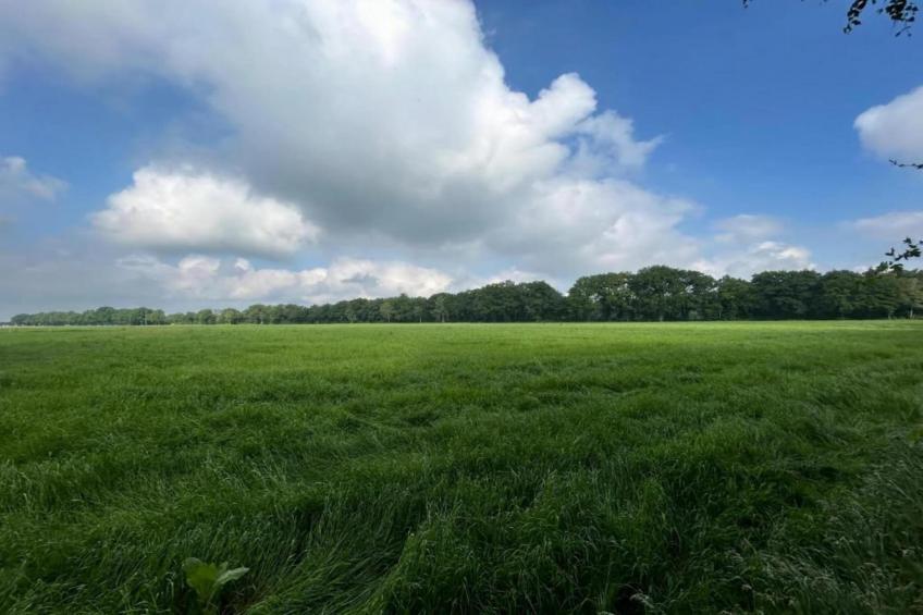 Het Kruisselt - foto 33
