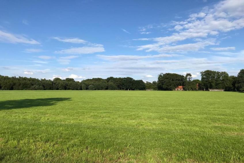 Huus in 't Hagt - foto 27