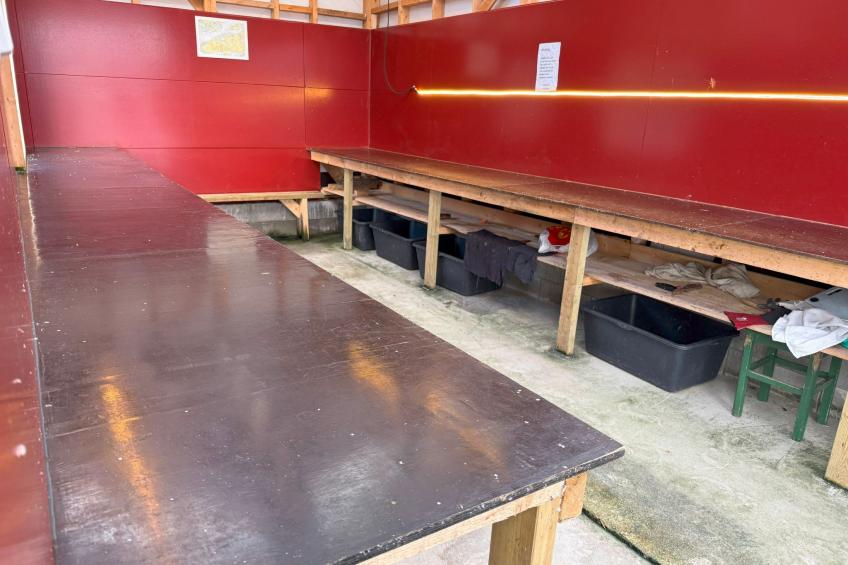 Stabben white House - foto 33