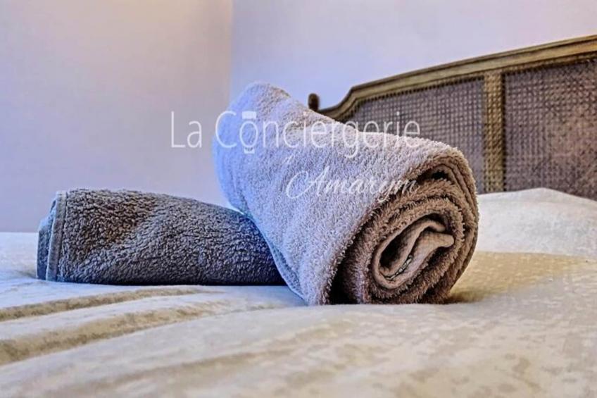 Résidence Aa13 - Le Victor Hugo - Séjour D’exception Dans Un Appartement Historique - foto 40