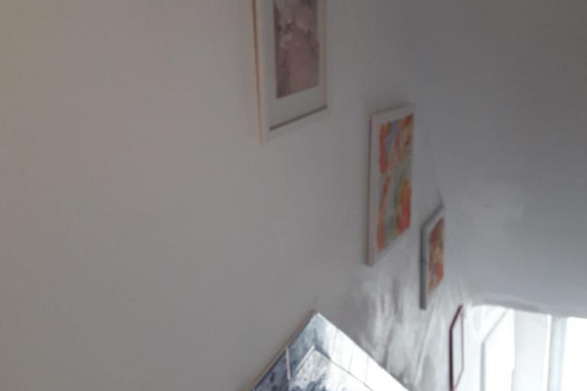 Geschichte, Önologie und Gastronomie im Alentejo - foto 13