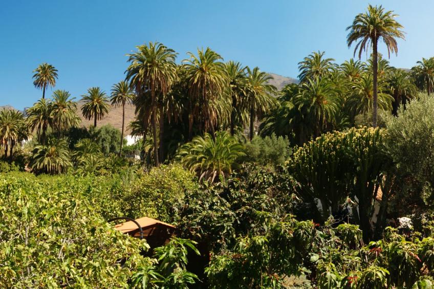 Komfortables Ferienhaus La Fuente de la Flora - foto 26