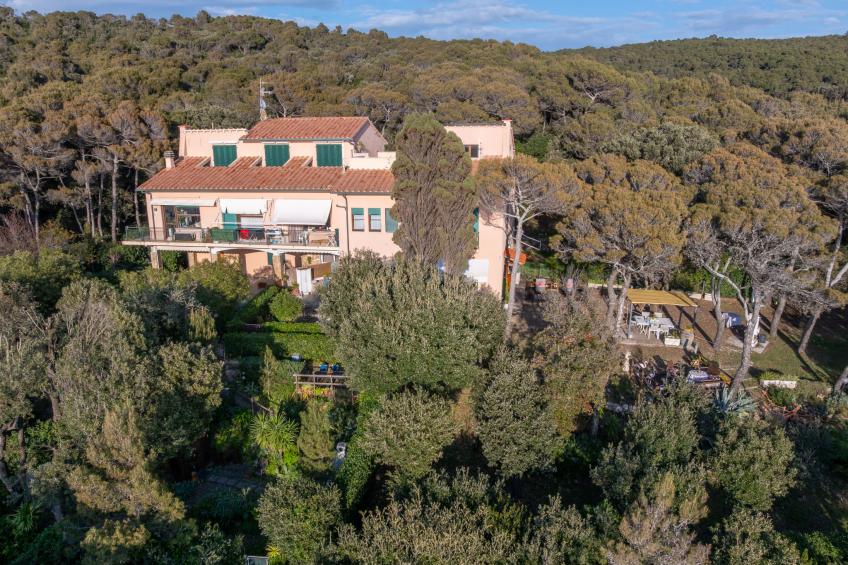 La casetta immersa nel verde - foto 34