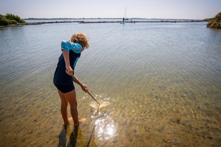 Eco Resort Grevelingenstrand - one dog - foto 34