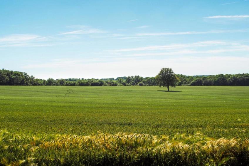 Higher House - foto 38