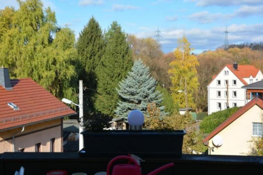 kunstsammler - foto 3