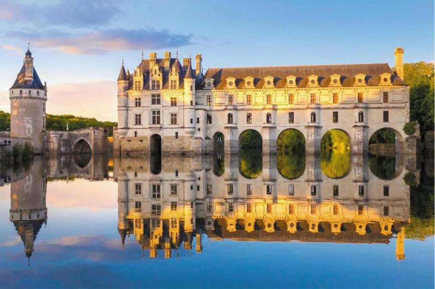 Chateau Feny - foto 33