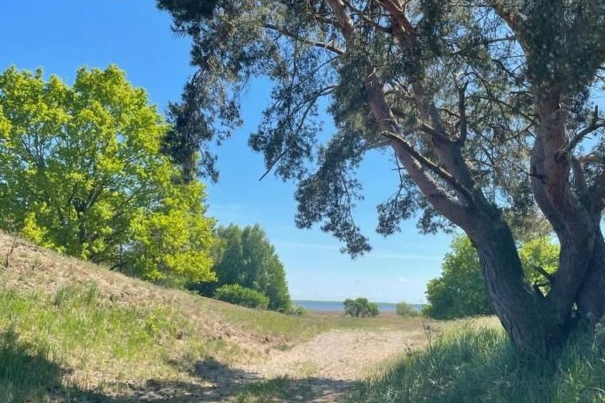 Tolles Ferienhaus in Altwarp mit Garten - foto 22