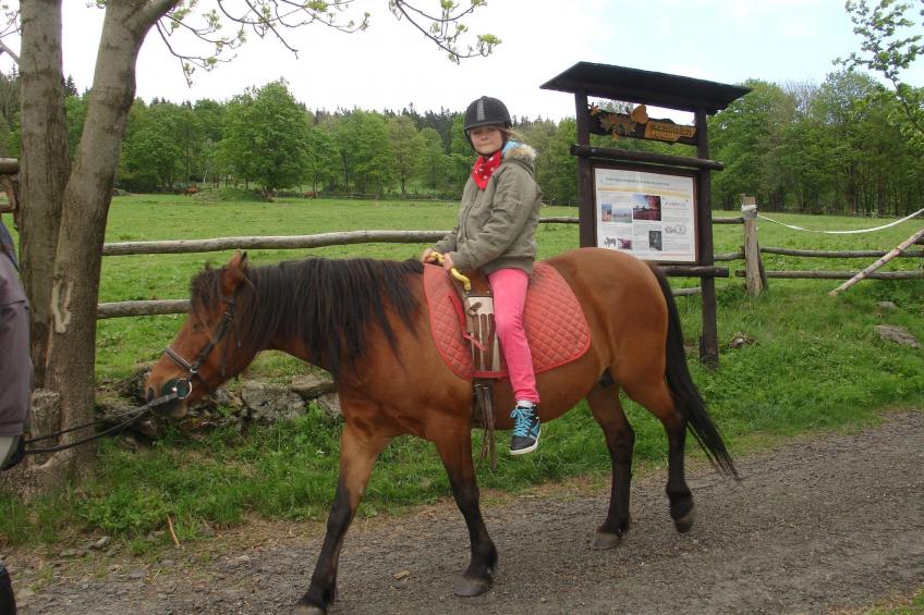 Charmantes, traditionelles Holzhaus - foto 31