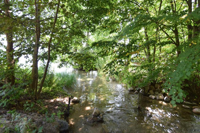 Domki wakacyjne MACIEJKA we Frydrychowie - foto 30