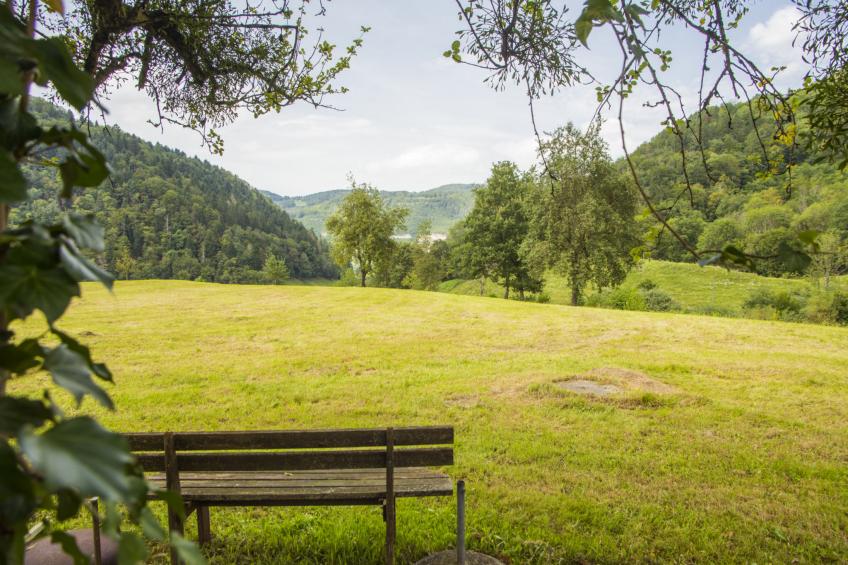 Appartement - Gîte chez MarEdo, (Montmelon), - foto 13