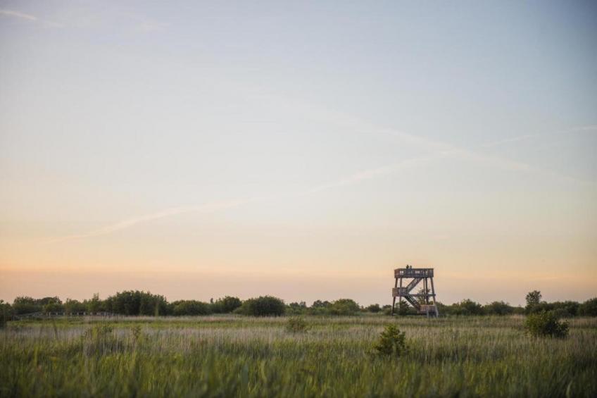 Maison de vacances - QUERRIEN - foto 34