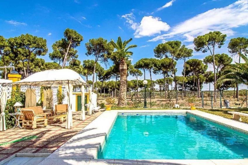 Hacienda El Corchuelo - foto 41