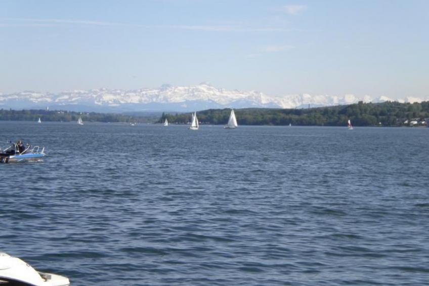 in ruhiger Lage mit großem Garten - foto 8