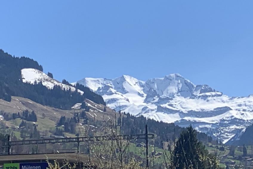 Gartenstudio "Belle Vue" - foto 12