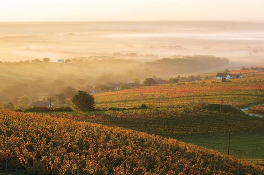 Pannonia M03 - foto 22