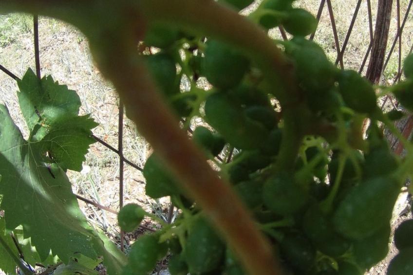 "Martina" direkt am Wasser - foto 6