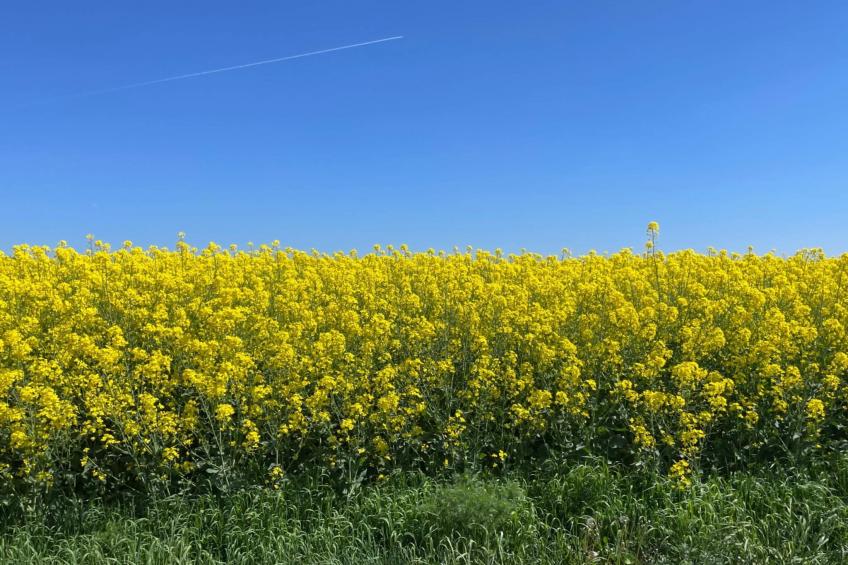 Studio lägenhet - foto 9