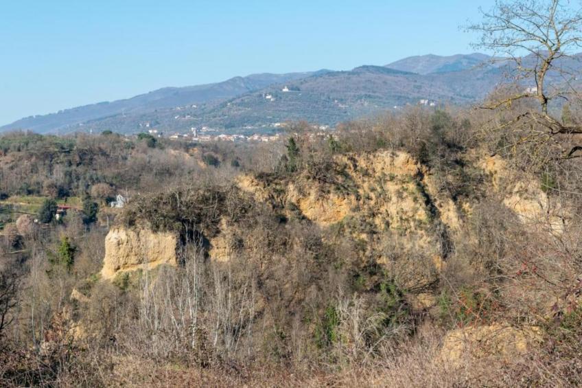 Podere Pulicciano Orciaia - foto 33