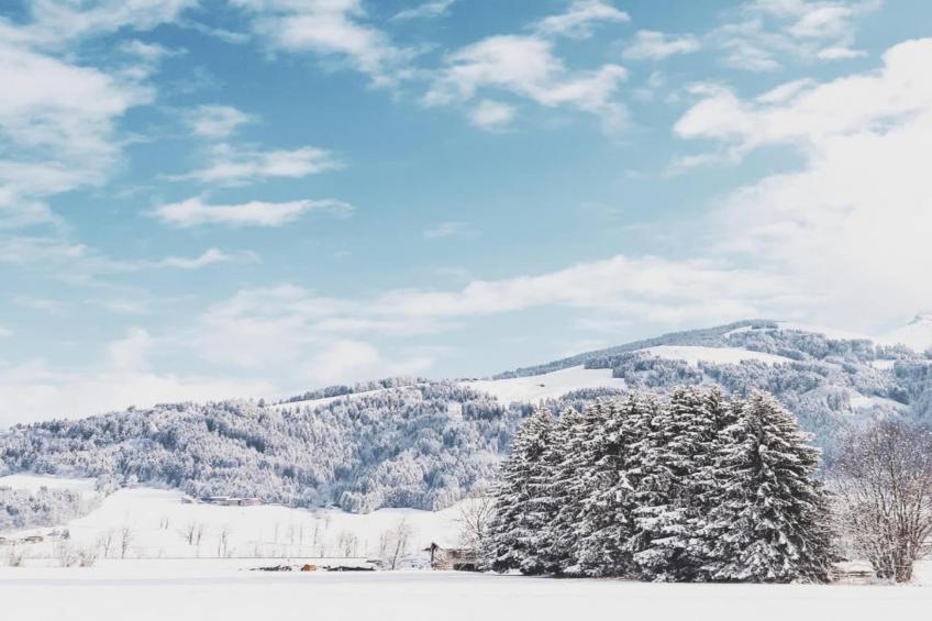 Kirchenbauer - foto 34