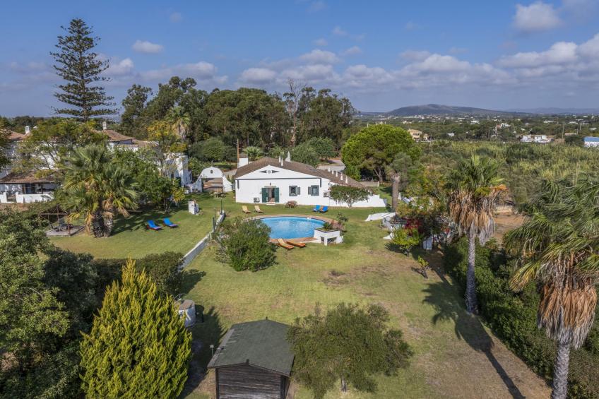 Jardim do Sul - foto 35