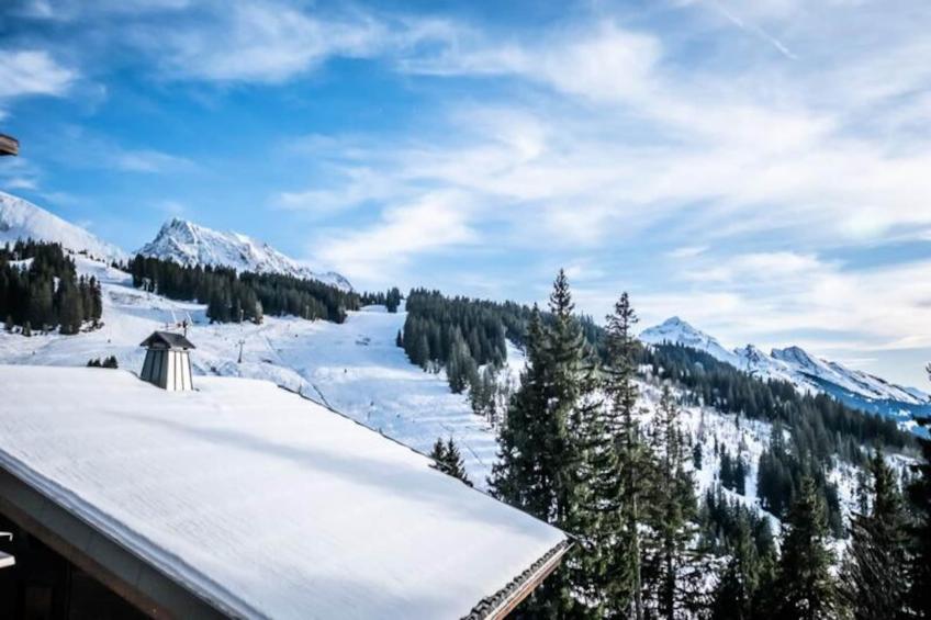 Slow Chalet Maison Des Bois à 3min Des Pistes à Pied - Ski Nordique + Alpin - foto 19