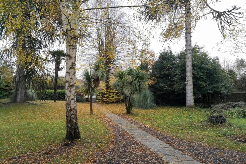 La Rivière - foto 28