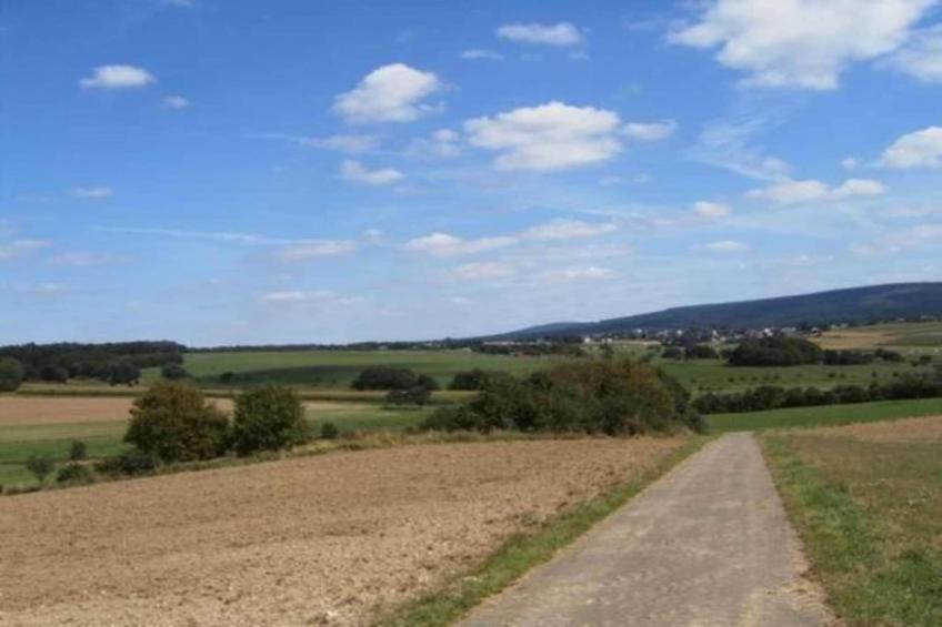 Schwalbennest - foto 31