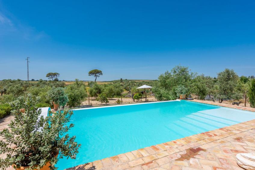 Hacienda San Antonio - foto 79