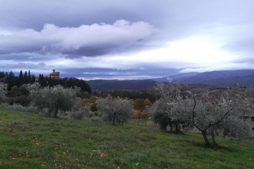Villa Melograno - foto 26