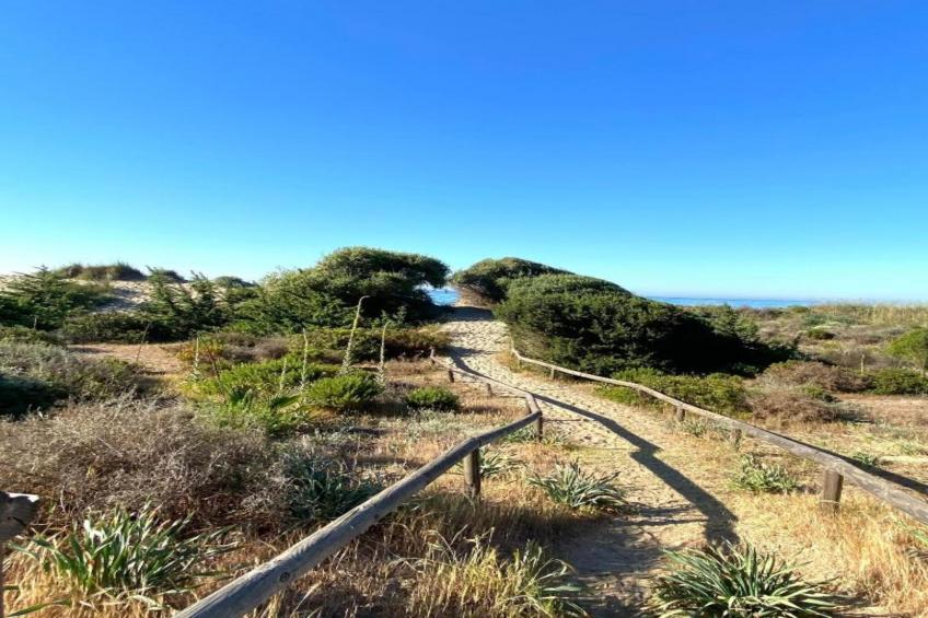 Romana Playa 555 - foto 29