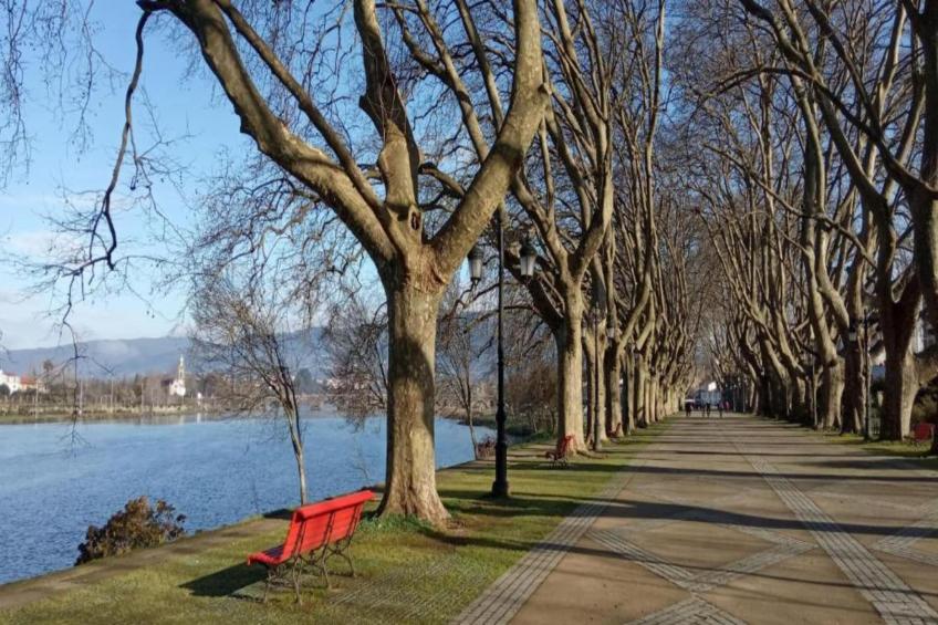 Casa da Castanheta - foto 23