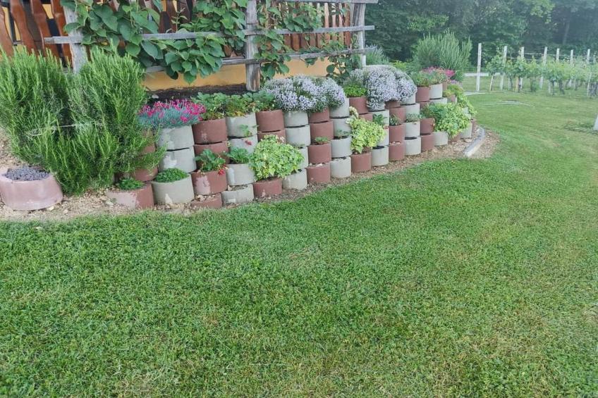 Golden Horizon Holiday Home with Terrace and Garden - One Bedroom Holiday Home with Terrace and Garden - foto 40