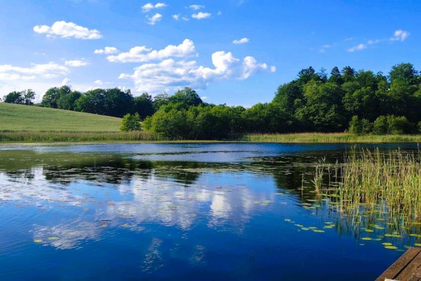 Vakantieaccommodatie, Rekowo - foto 37