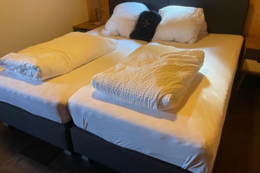 Tiny House facing the Alps - Ski in and out - foto 9