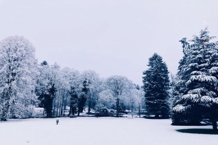 Château de Férot - foto 11