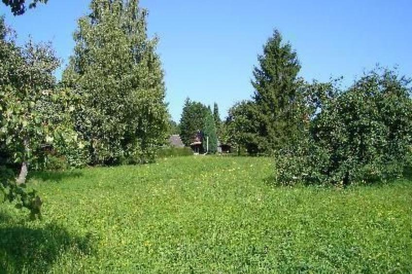 Nur-Dach-Ferienhaus für vier Personen - foto 13