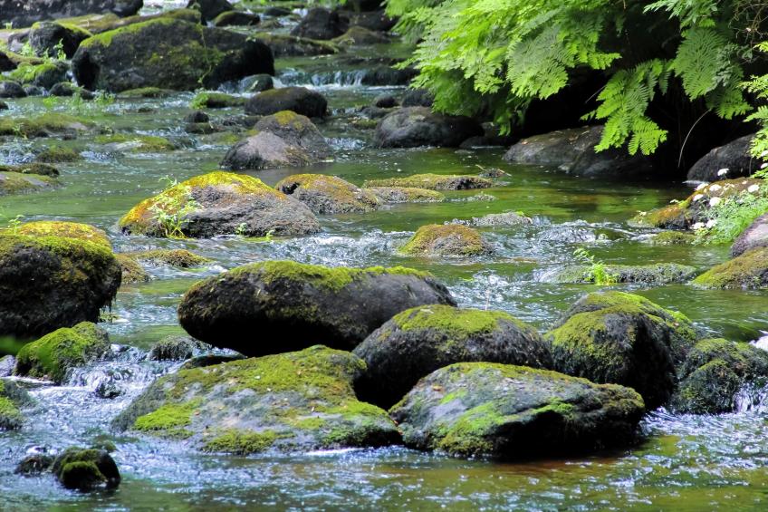 Maison de vacances - PRIZIAC - foto 35