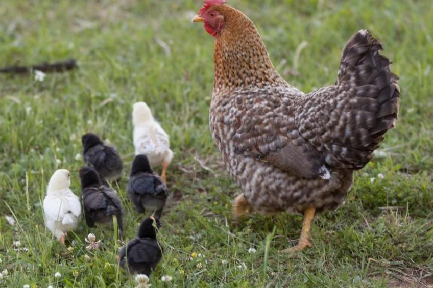 Appartamento Noce - foto 7