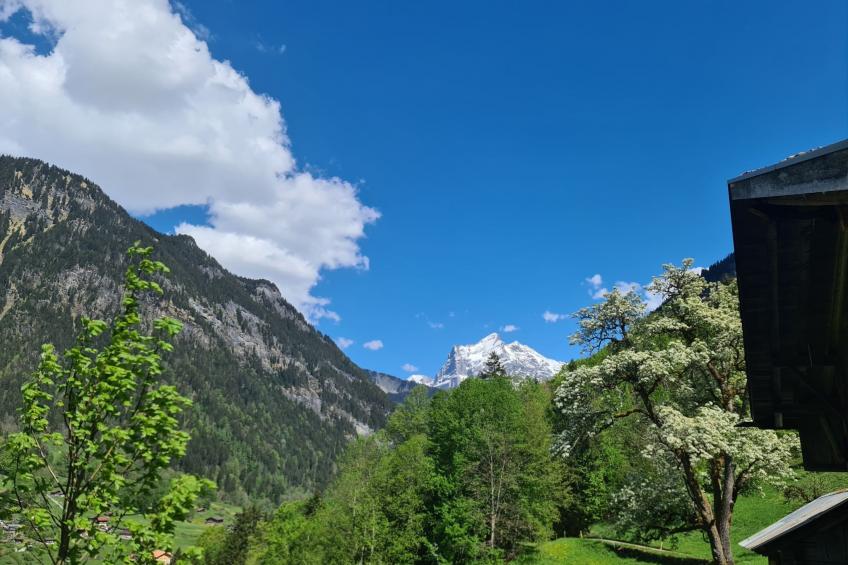 FF Bergmomente - foto 15