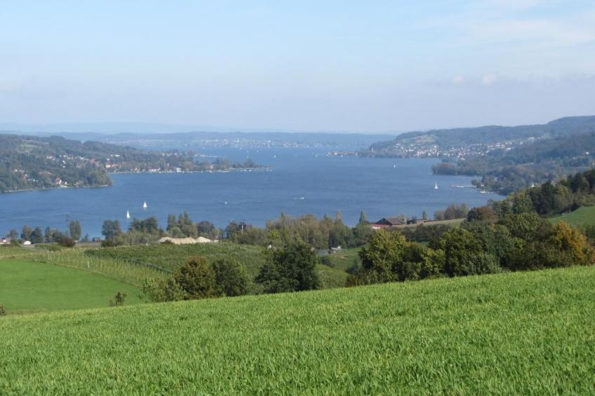 Tieroase Grünegg - foto 21